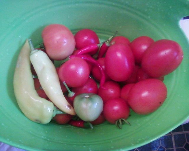 3rd Harvest 2014 photo Photo-0042_zps4721b837.jpg